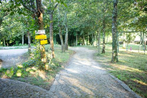 a path in a park with trees and a road at LaranjaLimão in Freixo
