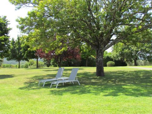 two white chairs sitting in the grass under a tree at Podere La Casa in Villa dʼArceno