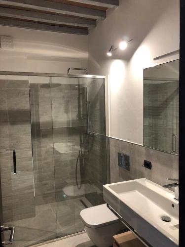 a bathroom with a shower and a toilet and a sink at Podere La Casa in Villa dʼArceno