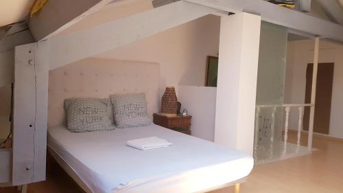 Happydays Cannes spacieux duplex photo 27