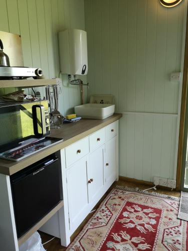 a kitchen with white cabinets and a black stove at Shepherds hut Dolly wagon in Keswick