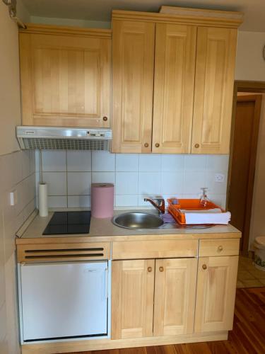 uma cozinha com armários de madeira e um lavatório em Apartma Ajdovka Rogla em Vitanje