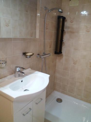 a bathroom with a sink and a shower at Chalet Clair de Lune bei Grächen VS in Gasenried