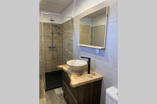 uma casa de banho com um lavatório e um chuveiro em Appartement Vars Sainte Marie 6 personnes em Vars