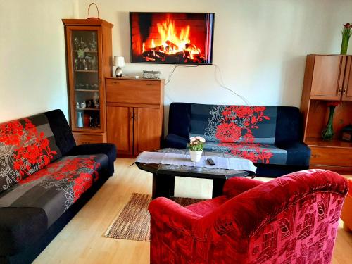 salon z 2 kanapami i kominkiem w obiekcie House Hanka, High Tatras w Starej Leśnej