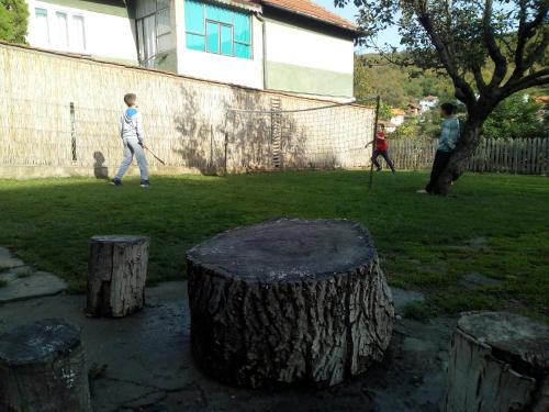 two children playing baseball in a yard with tree stumps at Konak Garavi sokak in Kuršumlija
