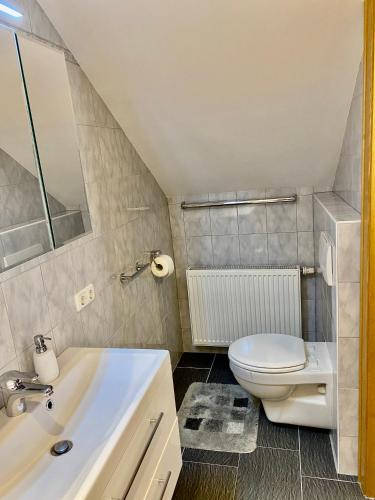 a bathroom with a white toilet and a sink at Apartment Claudia in Lunz am See