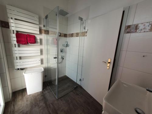 y baño con ducha, aseo y lavamanos. en Hotel Neuenburger Hof, en Neuenburg am Rhein