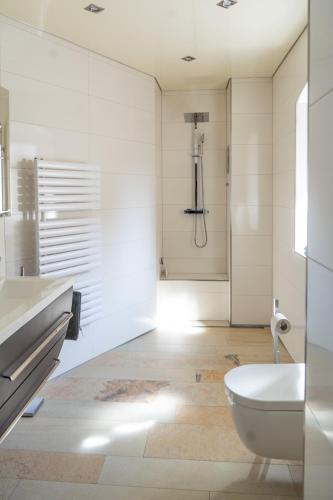 a white bathroom with a toilet and a shower at Moderne Altstadt-Ferienwohnung in Hammelburg