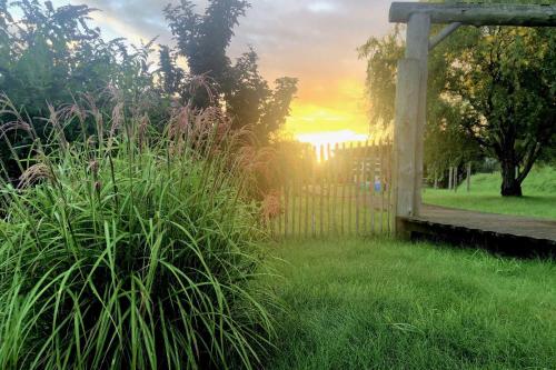 a garden with a fence and a grass field at Ruegen Fewo 66 in Kasnevitz