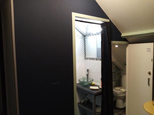 a bathroom with a sink and a toilet and a mirror at Havre de paix au bords de l'Eure - divers hébergements in Neuilly