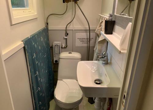 Baño pequeño con aseo y lavamanos en Cozy cottage near the sea en Tjustvik