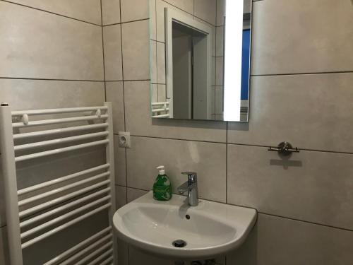 a bathroom with a sink and a mirror at Monteurwohnung 1 in Ingelheim am Rhein