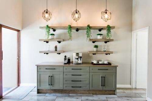 a kitchen with green cabinets and shelves and potted plants at Stonehill Villa in Bloemfontein