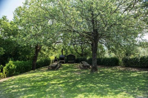 Fotografie z fotogalerie ubytování Agriturismo La Papessa - Fattoria Montecchio v destinaci Fattoria Montecchio