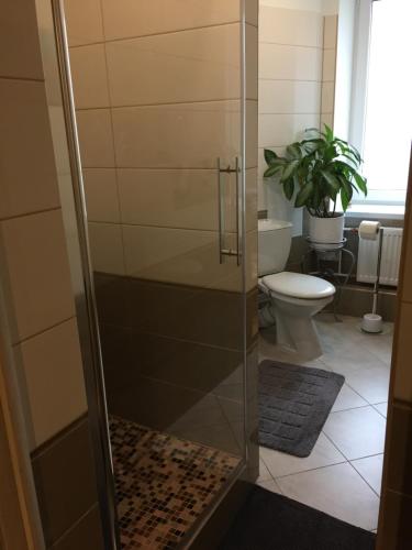 a glass shower in a bathroom with a toilet at K.G. Apartment in Ventspils