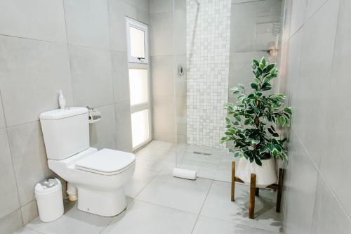a bathroom with a toilet and a potted plant at Stonehill Villa in Bloemfontein