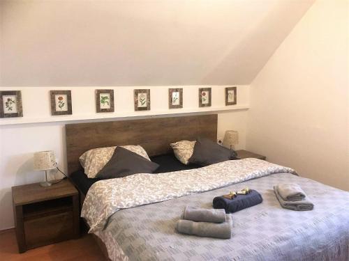 Postel nebo postele na pokoji v ubytování Terme Catez Apartment 7