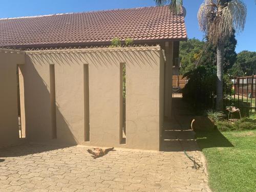 a cat is standing in front of a building at Sarah's Place Guesthouse in Pretoria