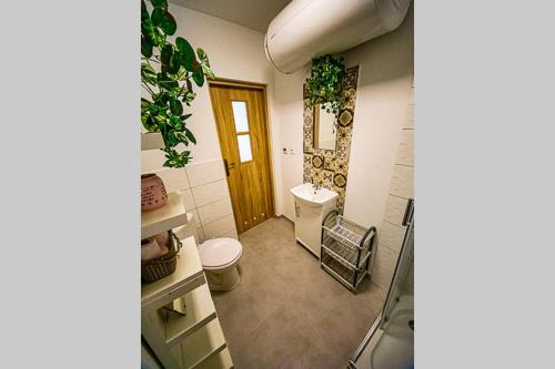 a bathroom with a toilet and a sink and a mirror at apartament Rynek in Leśna