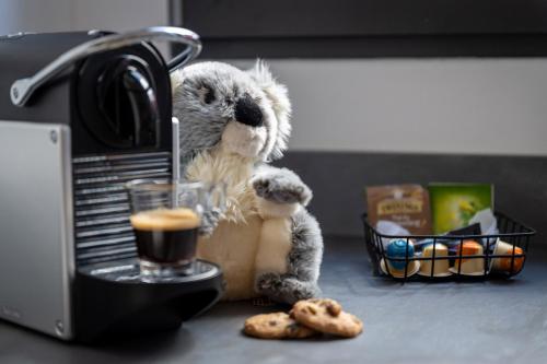 a stuffed teddy bear sitting on a counter with cookies at Koaloft in Lorient