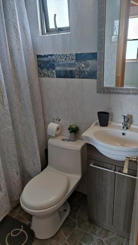 a bathroom with a toilet and a sink at Departamento Cabaña amoblada Puerto Montt in Puerto Montt