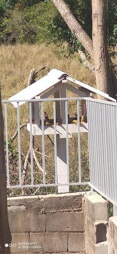 a white bird house sitting on top of some stairs at Pousada Recanto da Paz in Lindóia