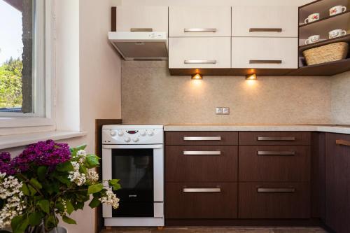 a kitchen with brown cabinets and an oven at Tři smrčky in Ostravice
