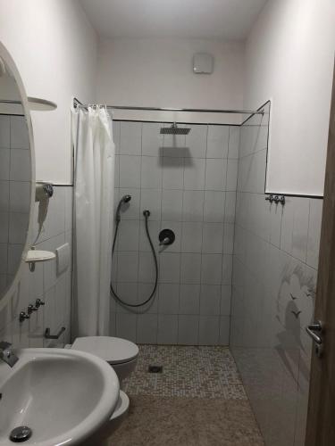 a bathroom with a shower and a toilet and a sink at B&B Antonella in Monterotondo