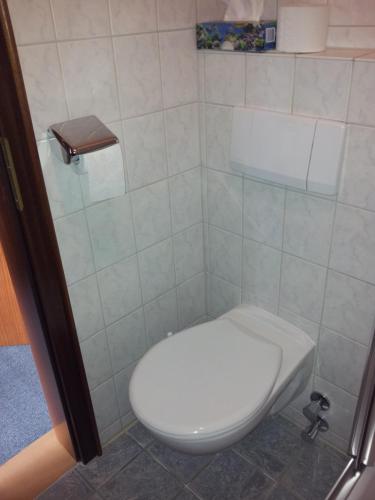 a bathroom with a white toilet in a shower at Hotel Weinhaus Am Stiftstor in Treis-Karden