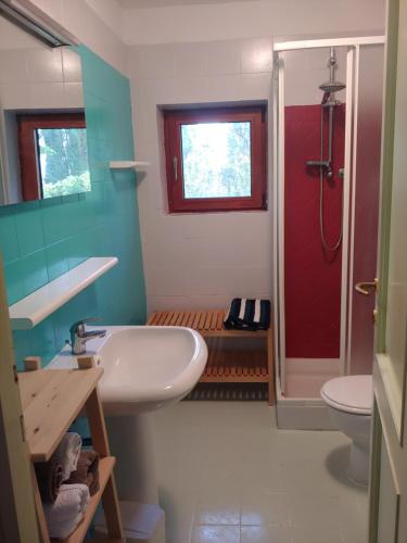 a bathroom with a white sink and a shower at B & B CUORE TOSCANO in Collesalvetti