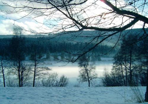 a snow covered field with trees and a body of water at Forsters Schwarzwald Hof - Resort-Hotel&Pension in Feldberg