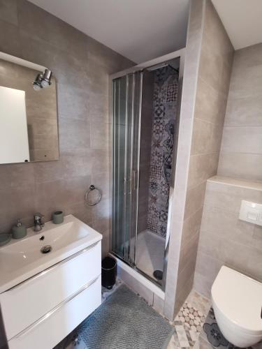 une salle de bain avec une douche, des toilettes et un lavabo dans l'établissement Rives and Sleep, à Thonon-les-Bains