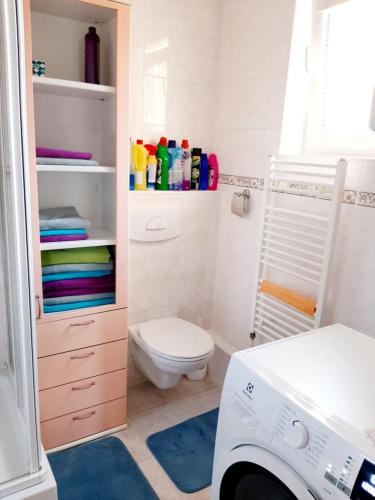 a bathroom with a toilet and a washing machine at House Hanka, High Tatras in Stará Lesná