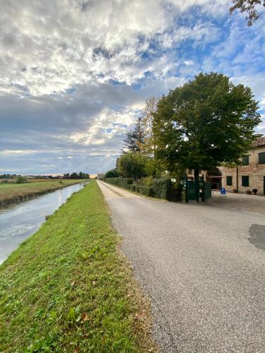 a road next to a river with a tree at Il Canto Del Gallo B&B in Zenson di Piave
