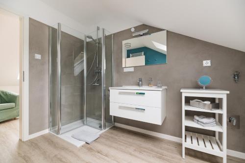 a bathroom with a shower and a sink and a mirror at Gästezimmer Gutshof Bestenbostel Eine Oase der Ruhe in Wedemark