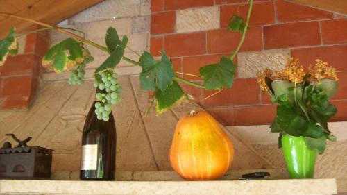 a pumpkin and a bottle of wine and a bunch of grapes at Apartments Barbara in Poreč