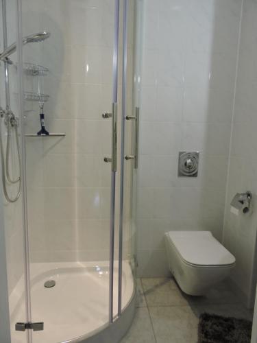 a white bathroom with a shower and a toilet at Monteurwohnung Monti 1 in Saarbrücken