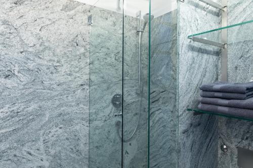 a shower with a glass door in a bathroom at Business Apartment in Schwarzach