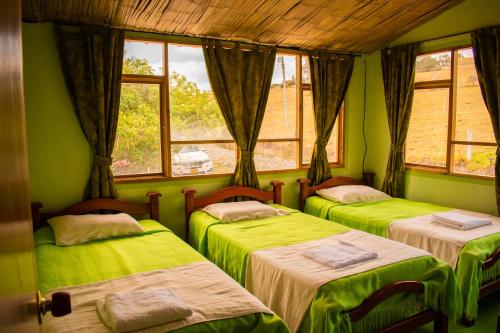 3 camas en una habitación con paredes y ventanas verdes en Miramonte Hostal, en Paipa