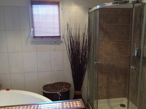 a bathroom with a shower and a tub and a plant at BEAUN'MAISON Spa Piscine Borne électrique in Beaune