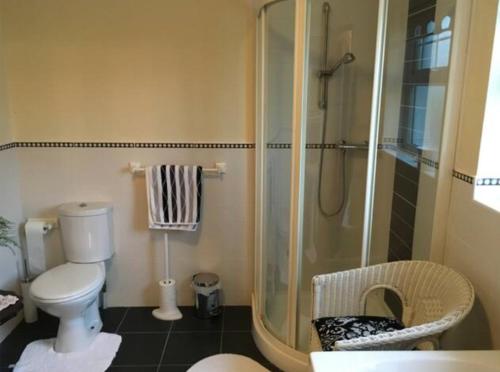 a bathroom with a toilet and a glass shower at Glenrandel Valley in Claudy