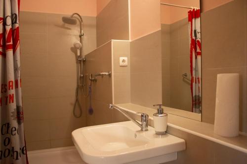 a bathroom with a sink and a shower at Turistična kmetija Sirk in Zgornja Velka
