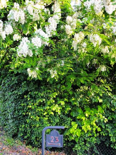 a clock in front of a bush with white flowers at La Colombara - Fra i colli a 5 minuti dall'autodromo in Imola