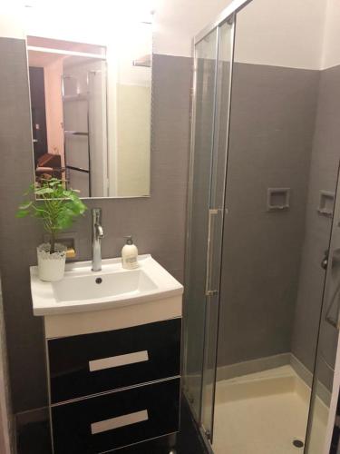 a bathroom with a sink and a shower at Gîte St Thomas in Crépy-en-Valois