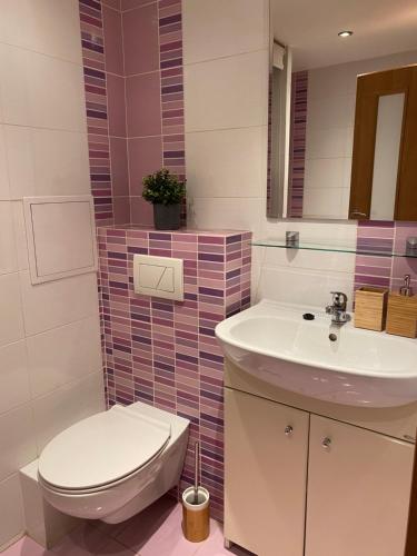 a bathroom with a toilet and a sink at SATYS Apartments in Ostrava