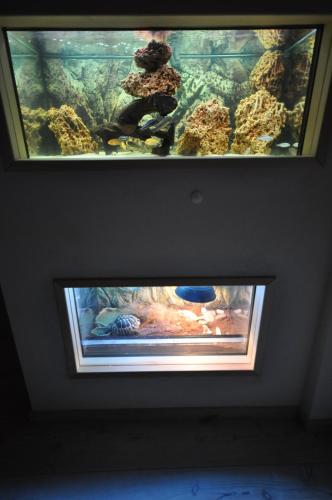 a window in a room with an aquarium at Wellness Pension Fulda Černý Důl in Cerny Dul