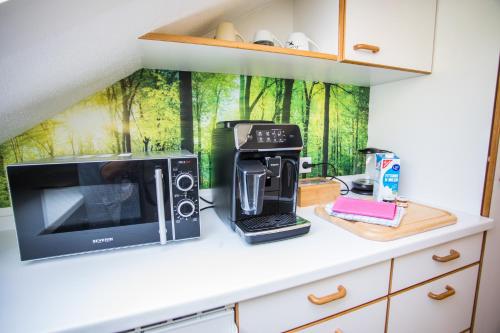 a kitchen counter with a microwave and a coffee maker at Auszeit im Schwarzwald in Lenzkirch