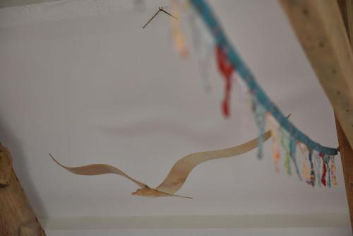 صورة لـ Delfryn Guest Suite في هافرفوردوست