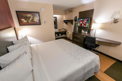 Postel nebo postele na pokoji v ubytování Red Roof Inn PLUS+ St. Louis - Forest Park / Hampton Ave.